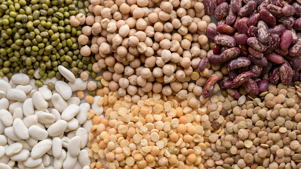 Beans and Legumes